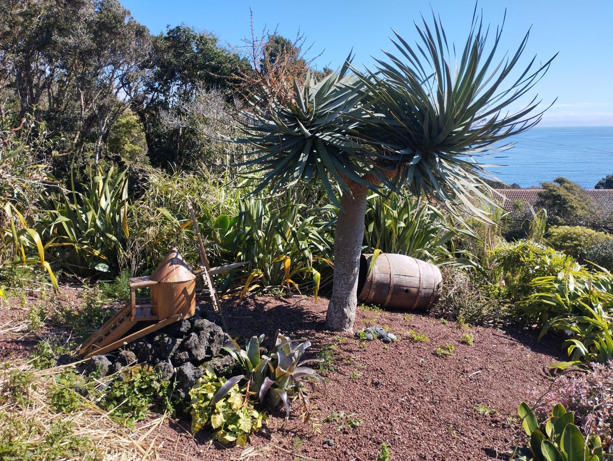 Lobo Do Mar Villa Calheta de Nesquim ภายนอก รูปภาพ