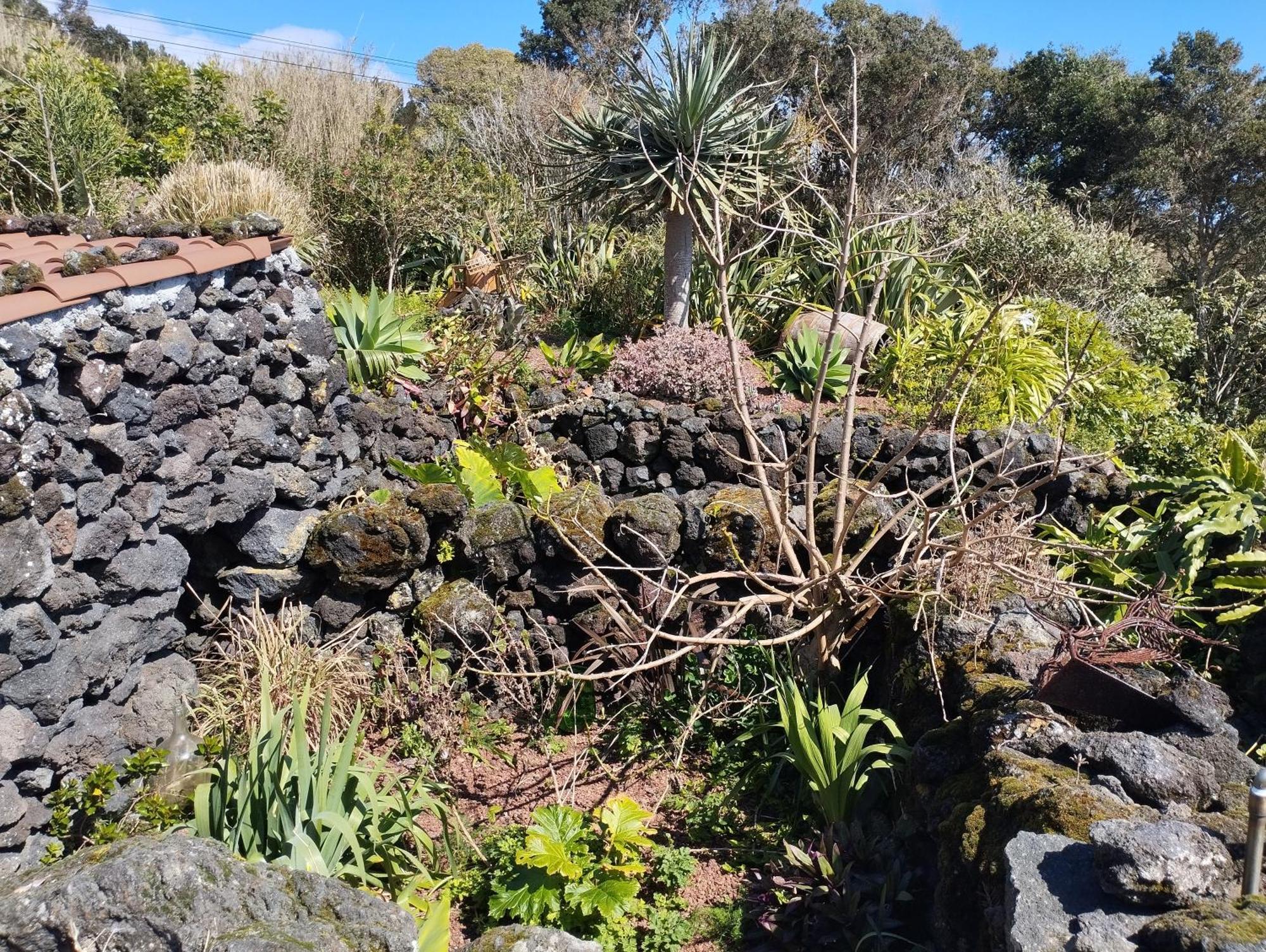 Lobo Do Mar Villa Calheta de Nesquim ภายนอก รูปภาพ