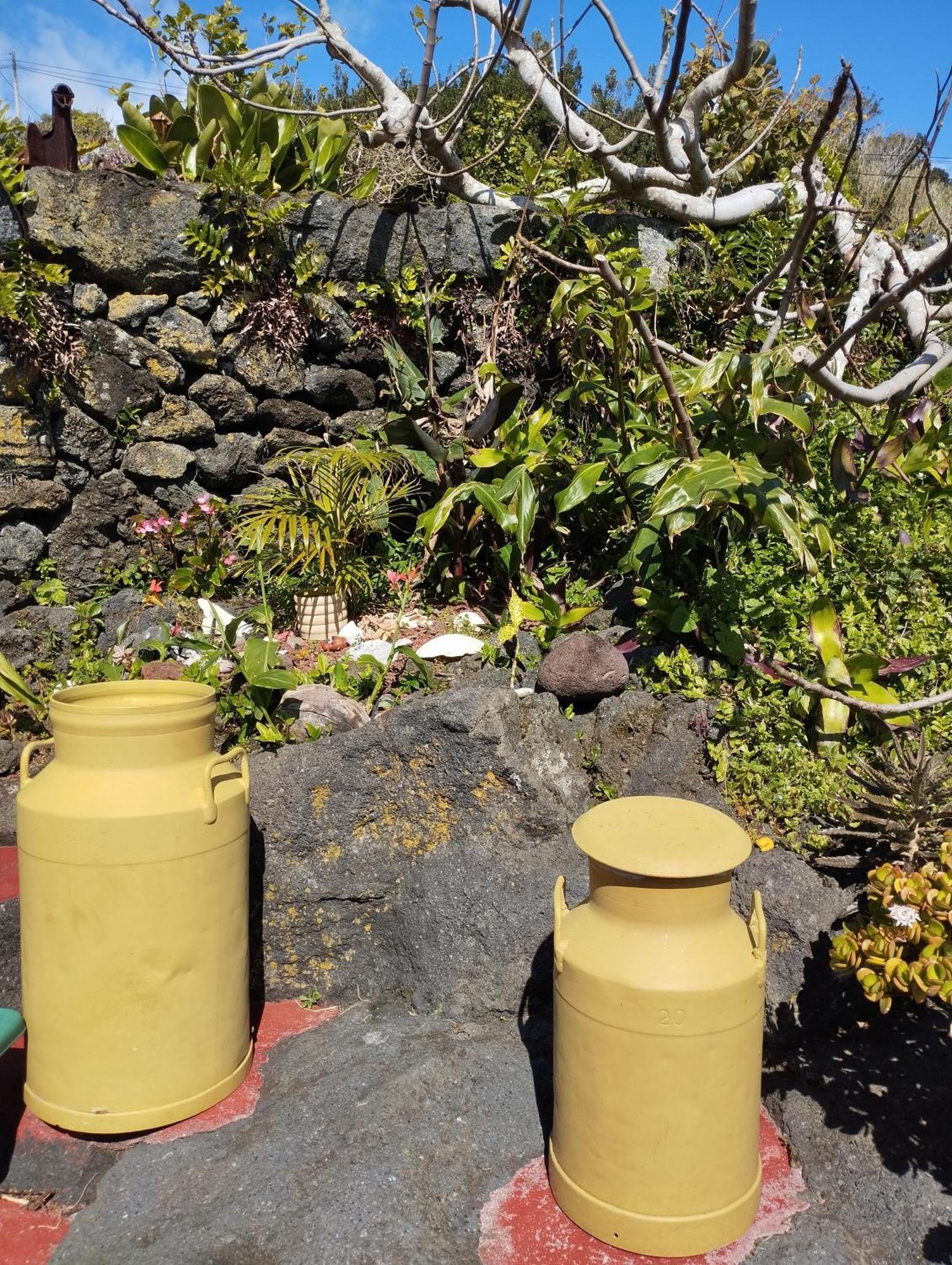 Lobo Do Mar Villa Calheta de Nesquim ภายนอก รูปภาพ